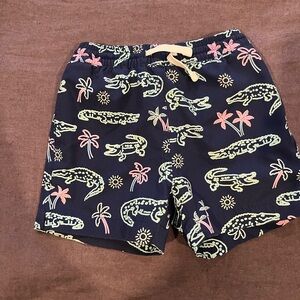 Chubbies Swim Trunks